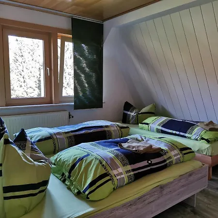 Hotel-pension Rennsteighütte Frauenwald