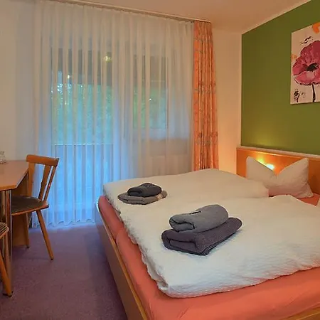 Hotel-pension Rennsteighutte 게스트하우스