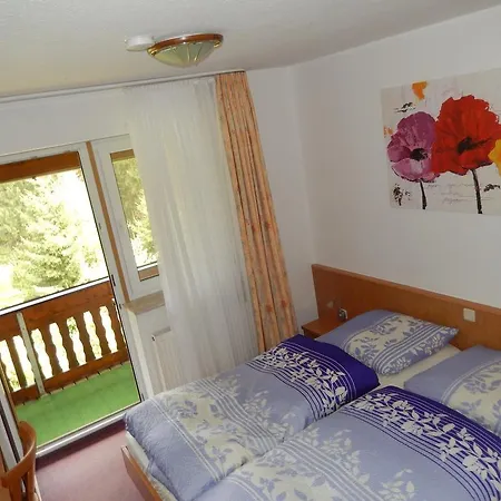 Hotel-pension Rennsteighütte 3* Frauenwald