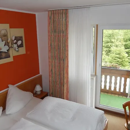 Hotel-pension Rennsteighutte 게스트하우스