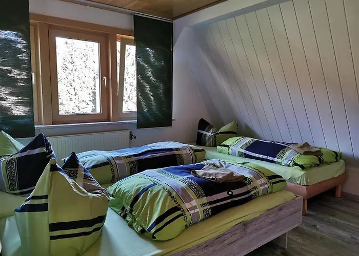 Hotel-pension Rennsteighutte Frauenwald