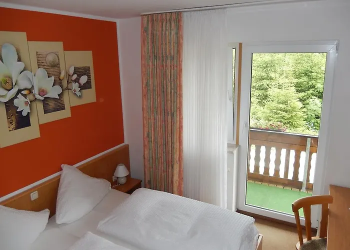 Hotel-pension Rennsteighutte 招待所